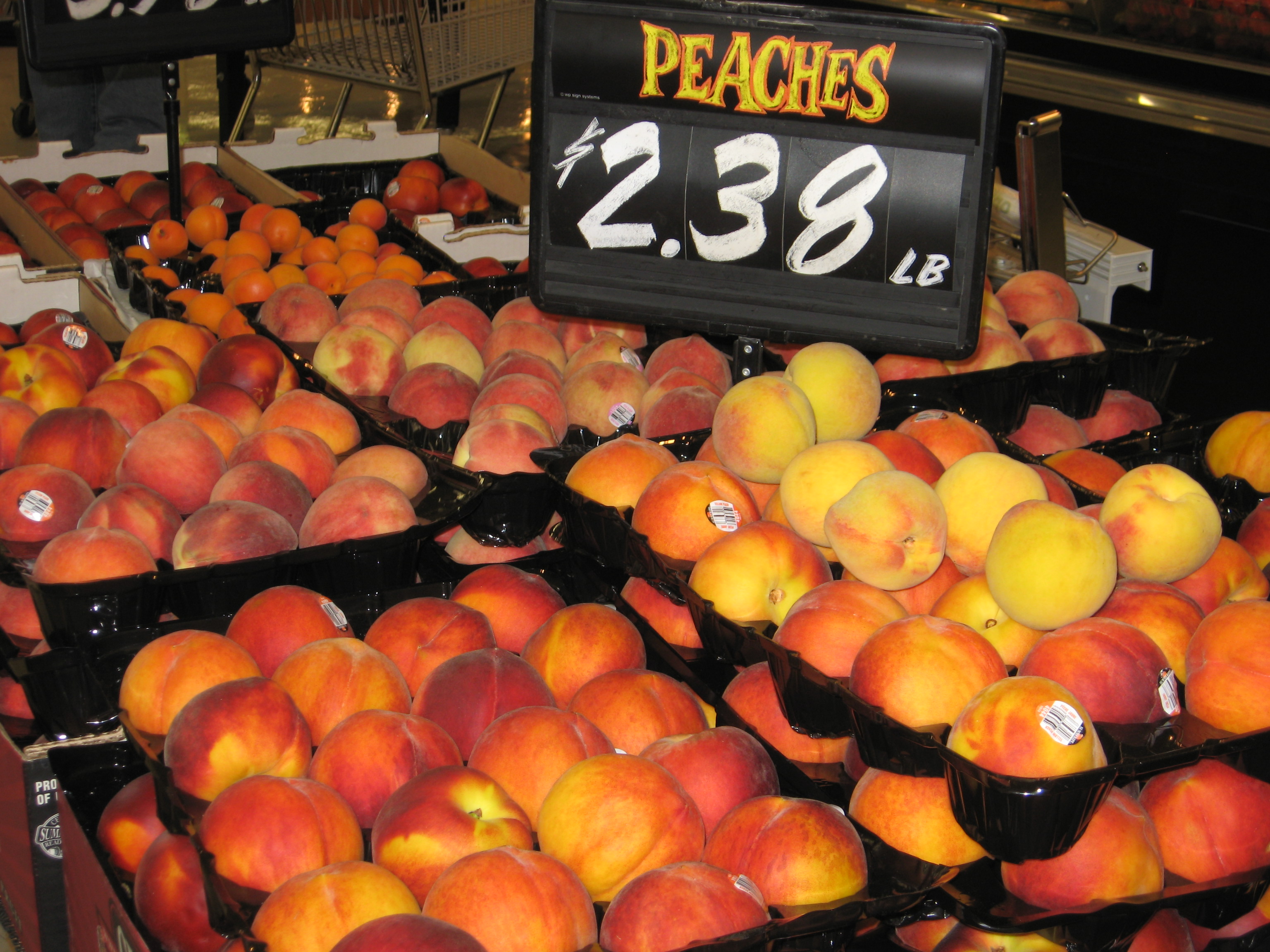 Caution Urged Loading Chilean Stone Fruit, Grapes