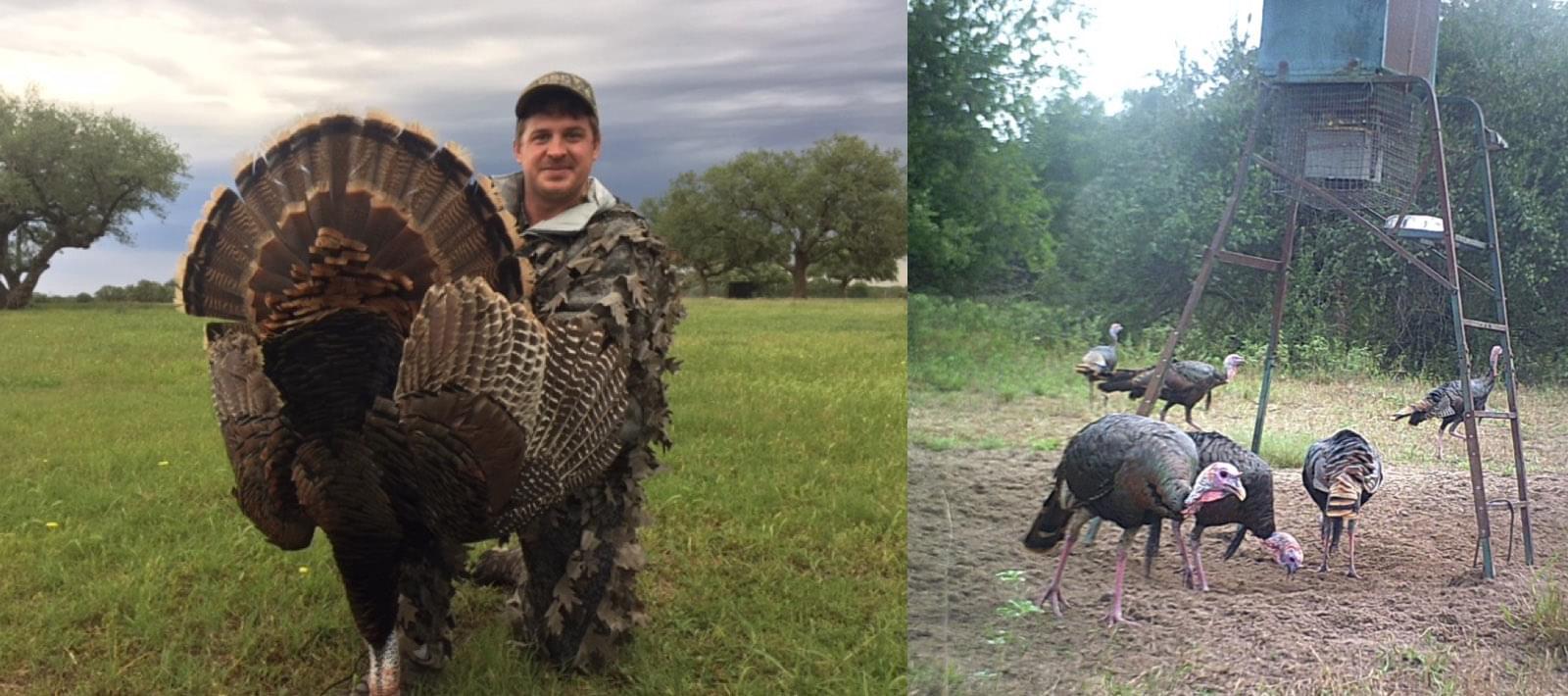 Texas Semi & Fully Guided Turkey Hunting Packages at Haun Ranch