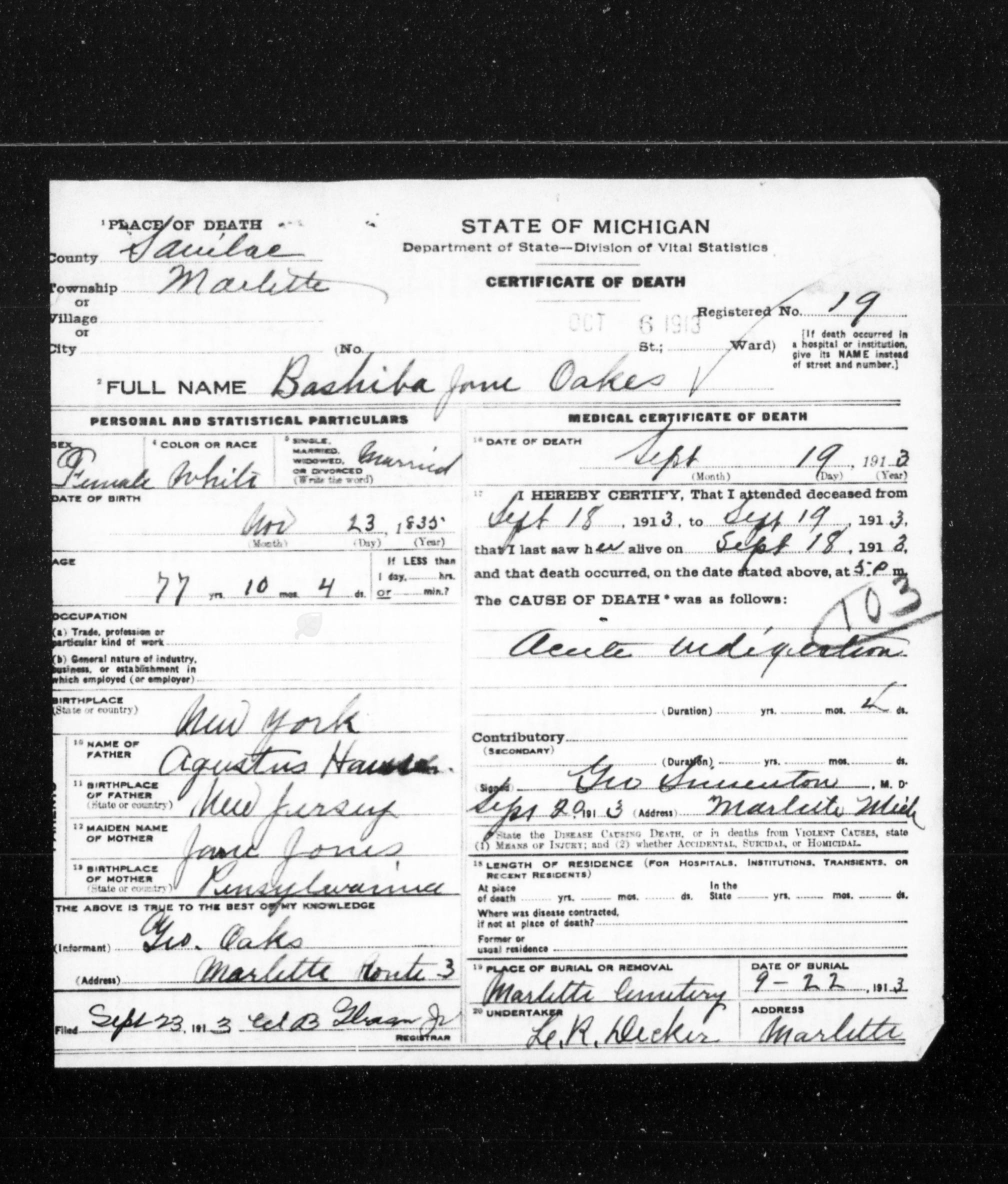 Hause Family Michigan (20th Century)