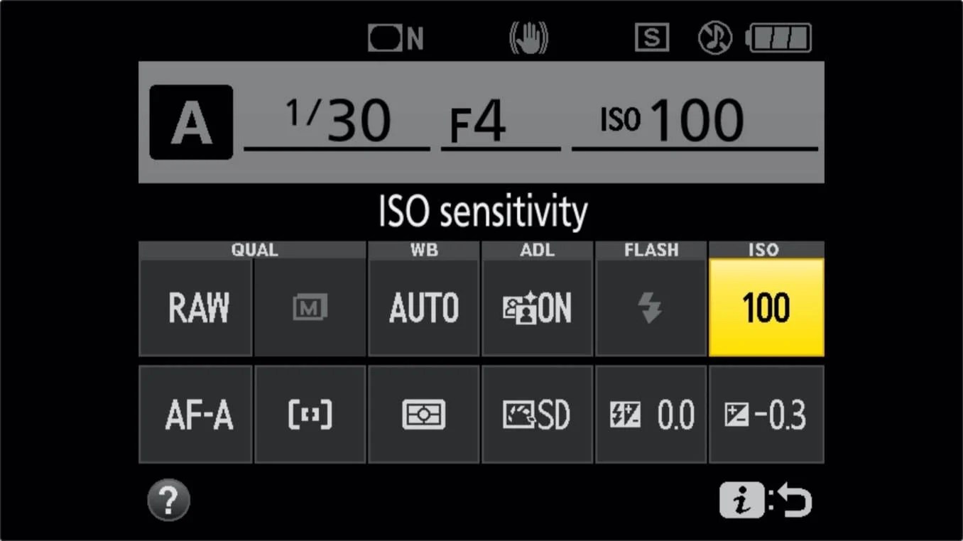 How to Change ISO on a Nikon D3500
