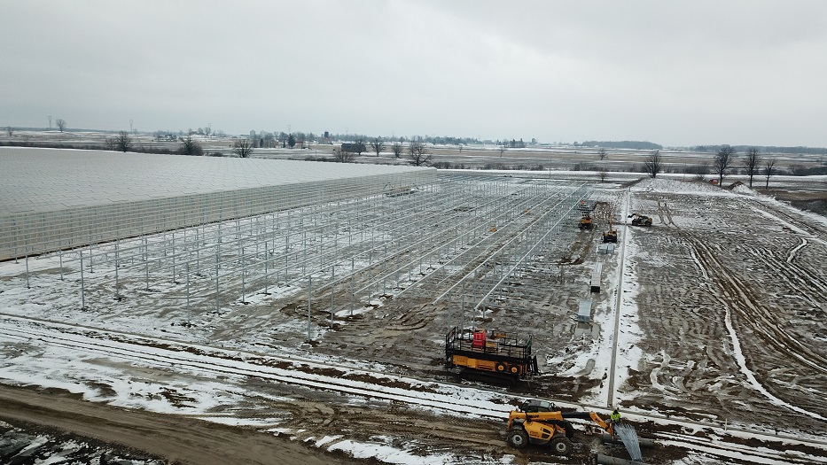 Ontario Plants Propagation (OPP)