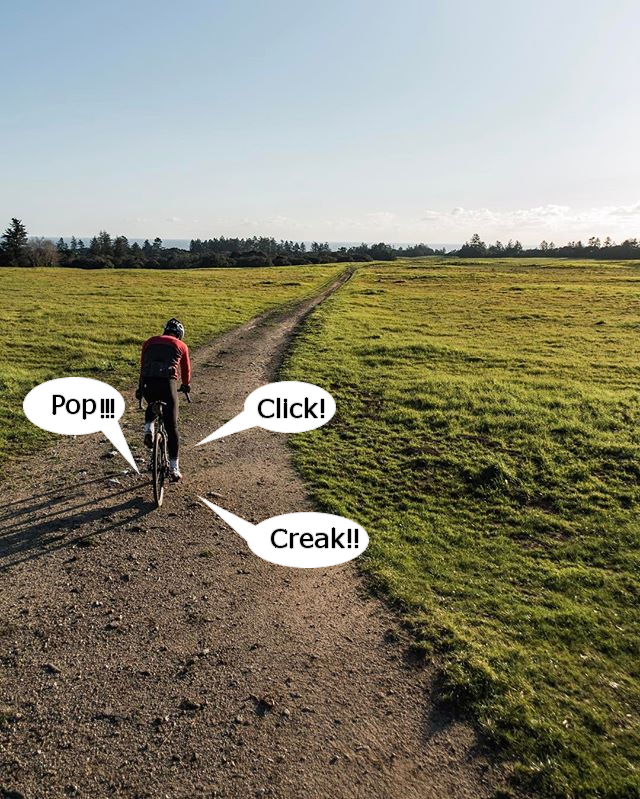 Clicks To Squeals, What Those Annoying Noises Are Telling You