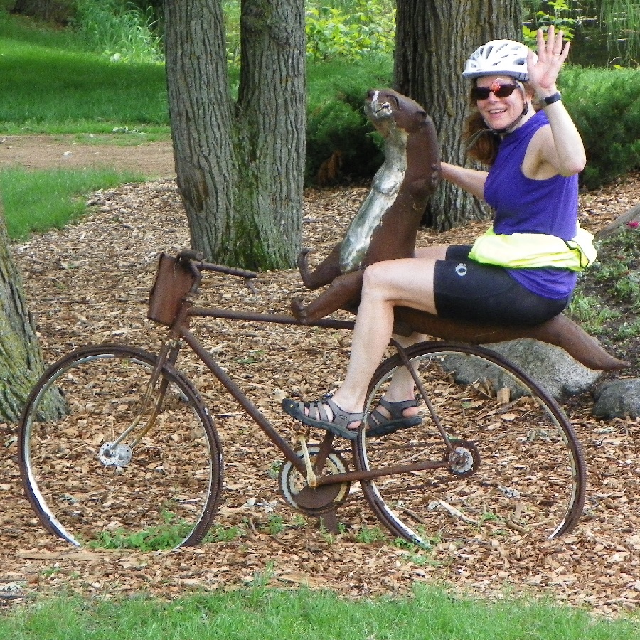 Bike noise ruin a great ride and may be easy to fix with these tips