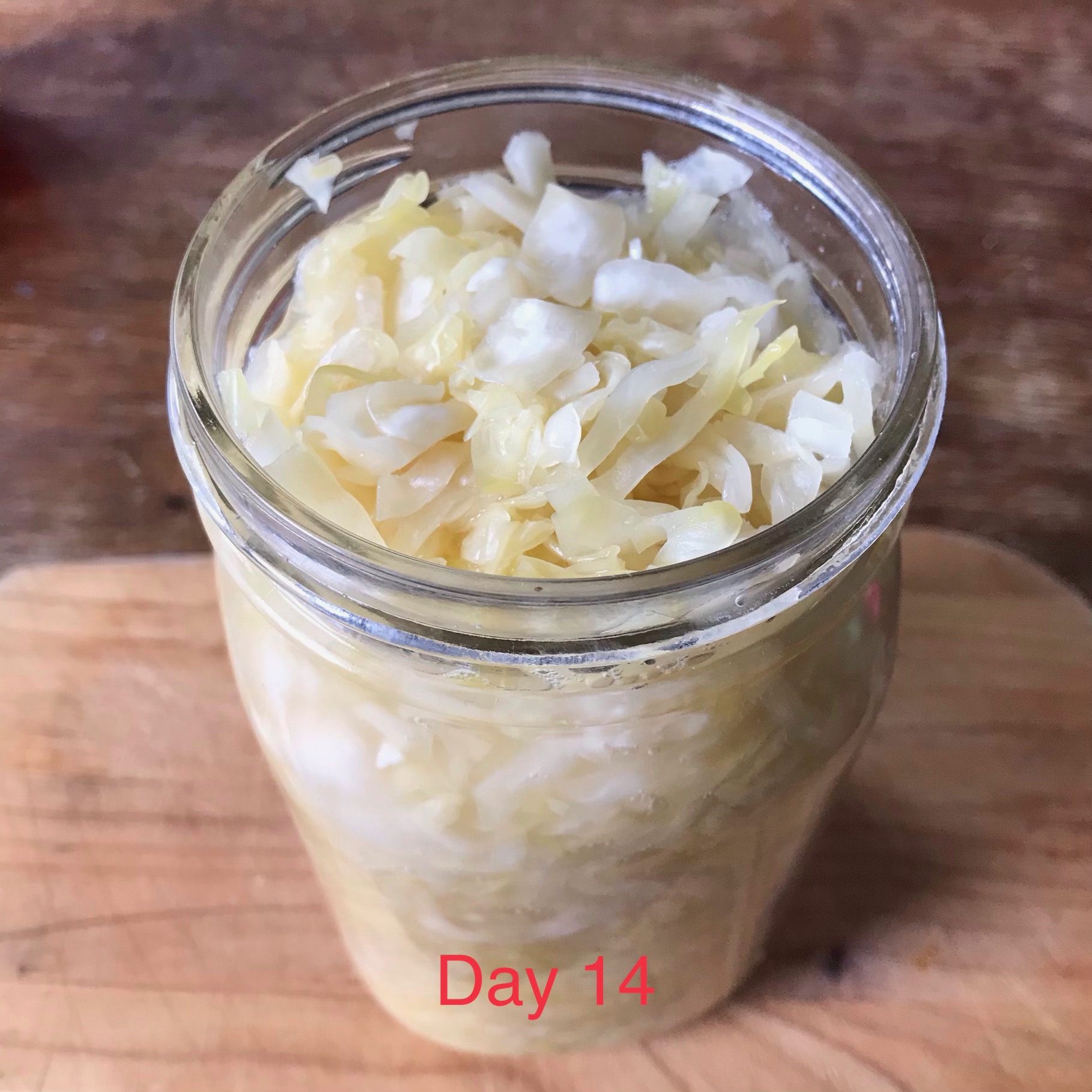 Homemade Sauerkraut