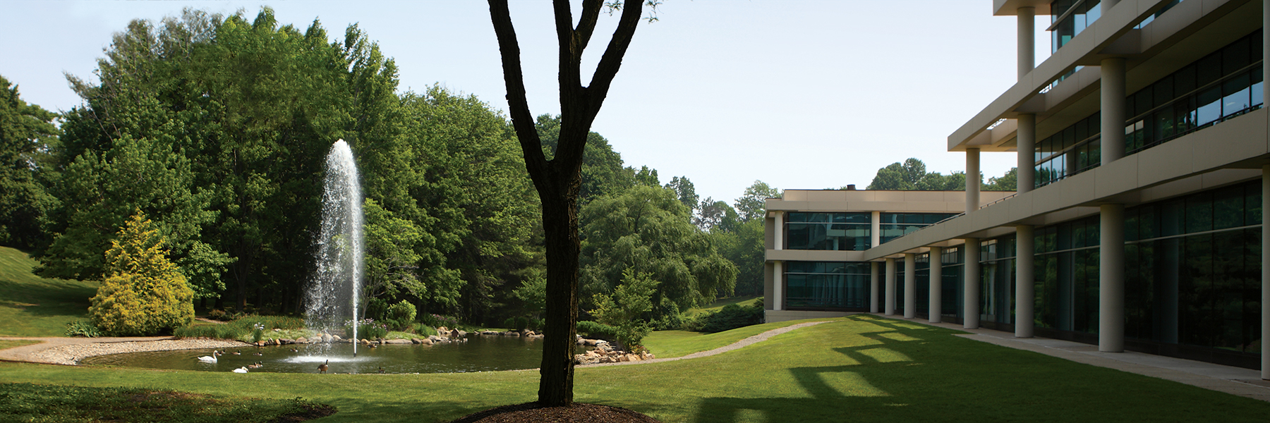 AboutHeader1 The Haverford Trust Company