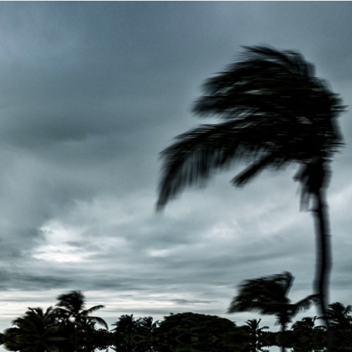 Where the Wind Blows