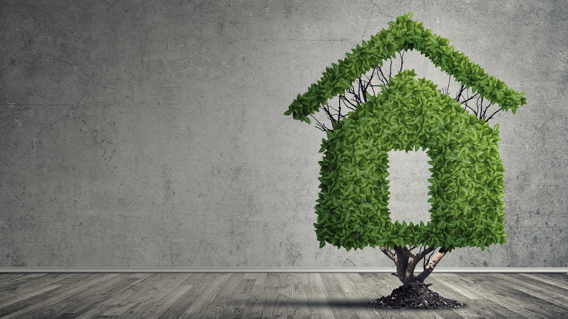 Sell your home with Haviland Real Estate Madison WI