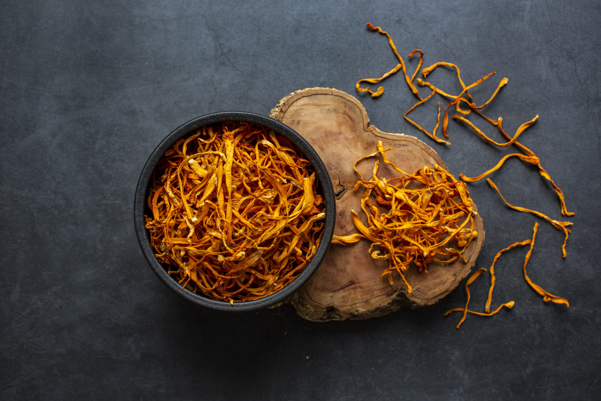 Cordyceps mushroom extract use and benefit • The Havok Journal