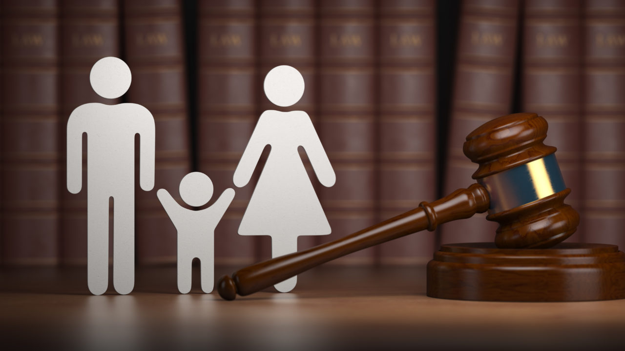 Basic Facts About Family Law Scope and Support • The Havok Journal