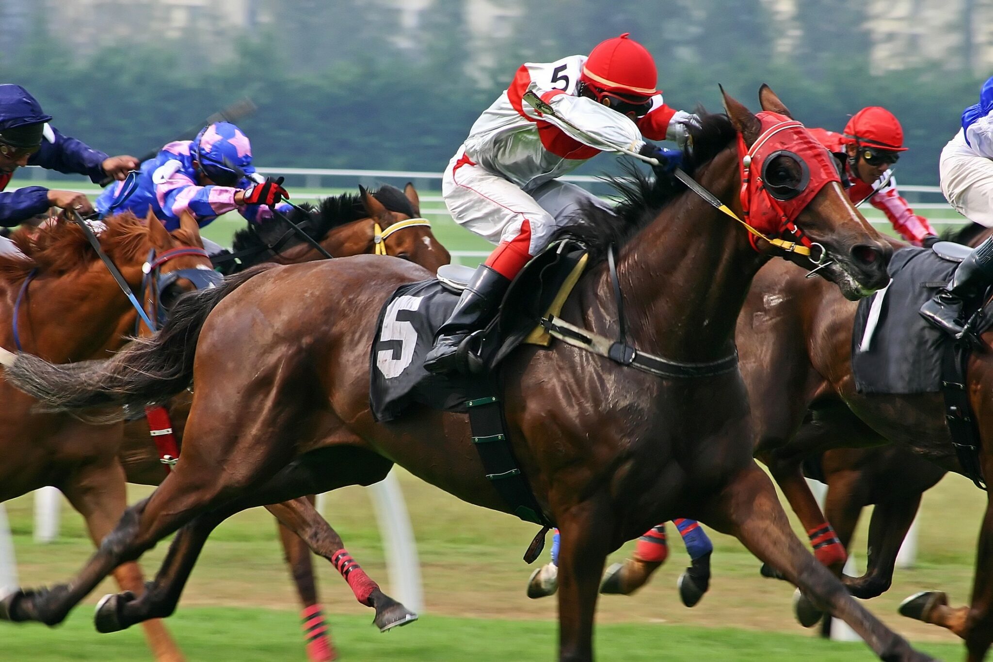 How to Pick the Winning Racehorse • The Havok Journal