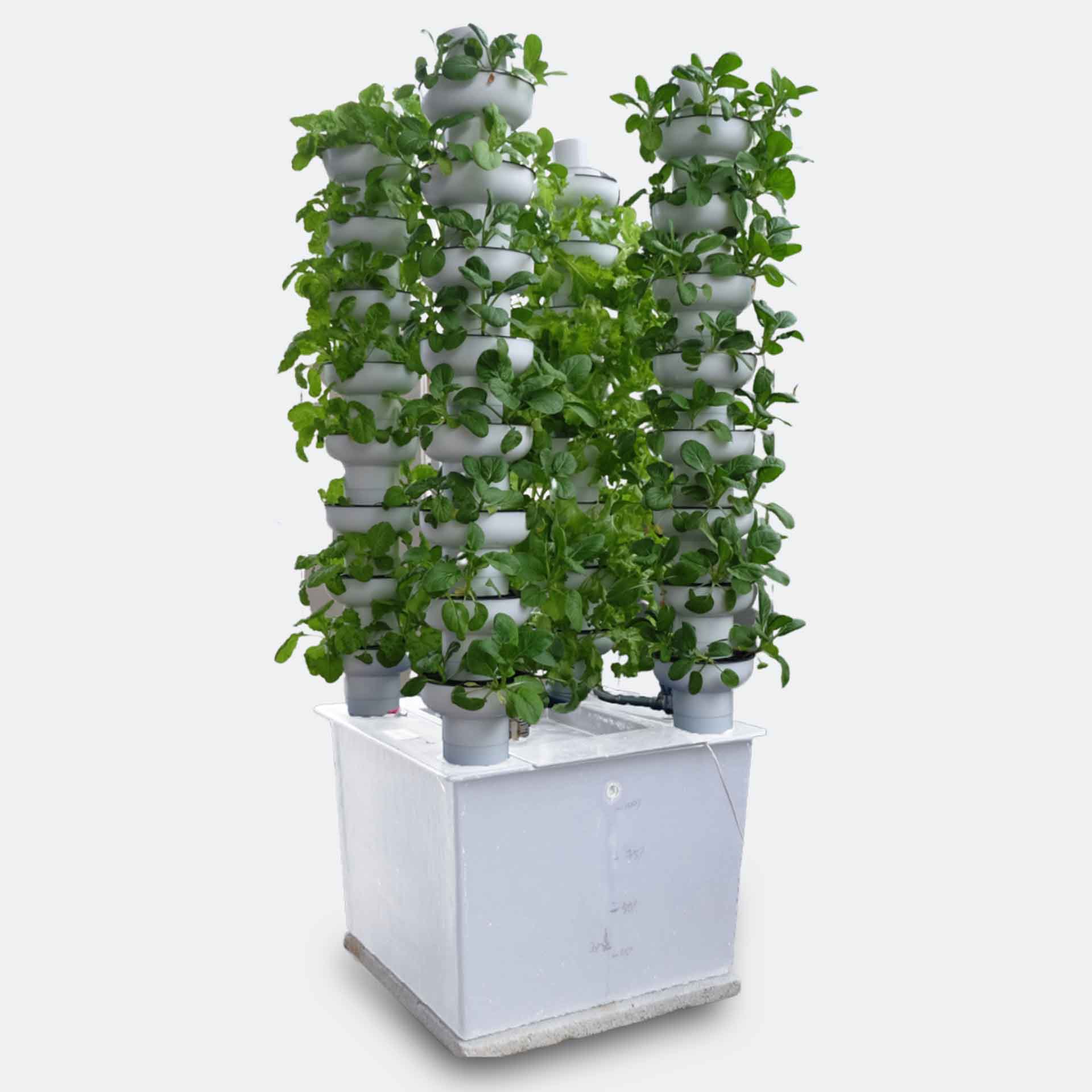 HAVVA280H Hydroponic Planting System Grow Your Fresh Veggies At