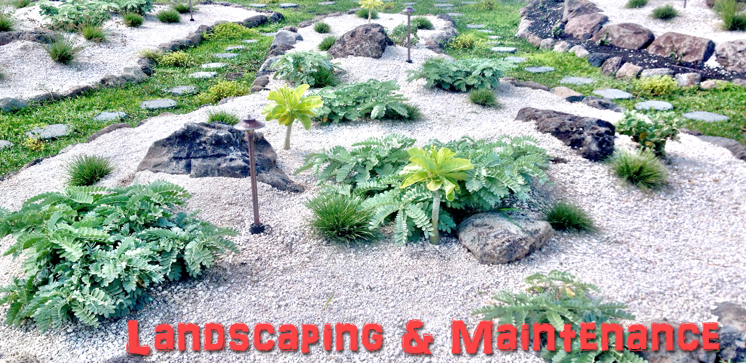 Native Hawaiian Plant Nursery Oahu HI Habitat Restorations