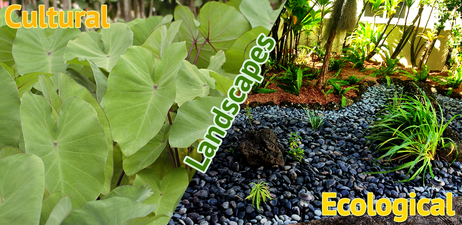 Native Hawaiian Plant Nursery Oahu HI Habitat Restorations