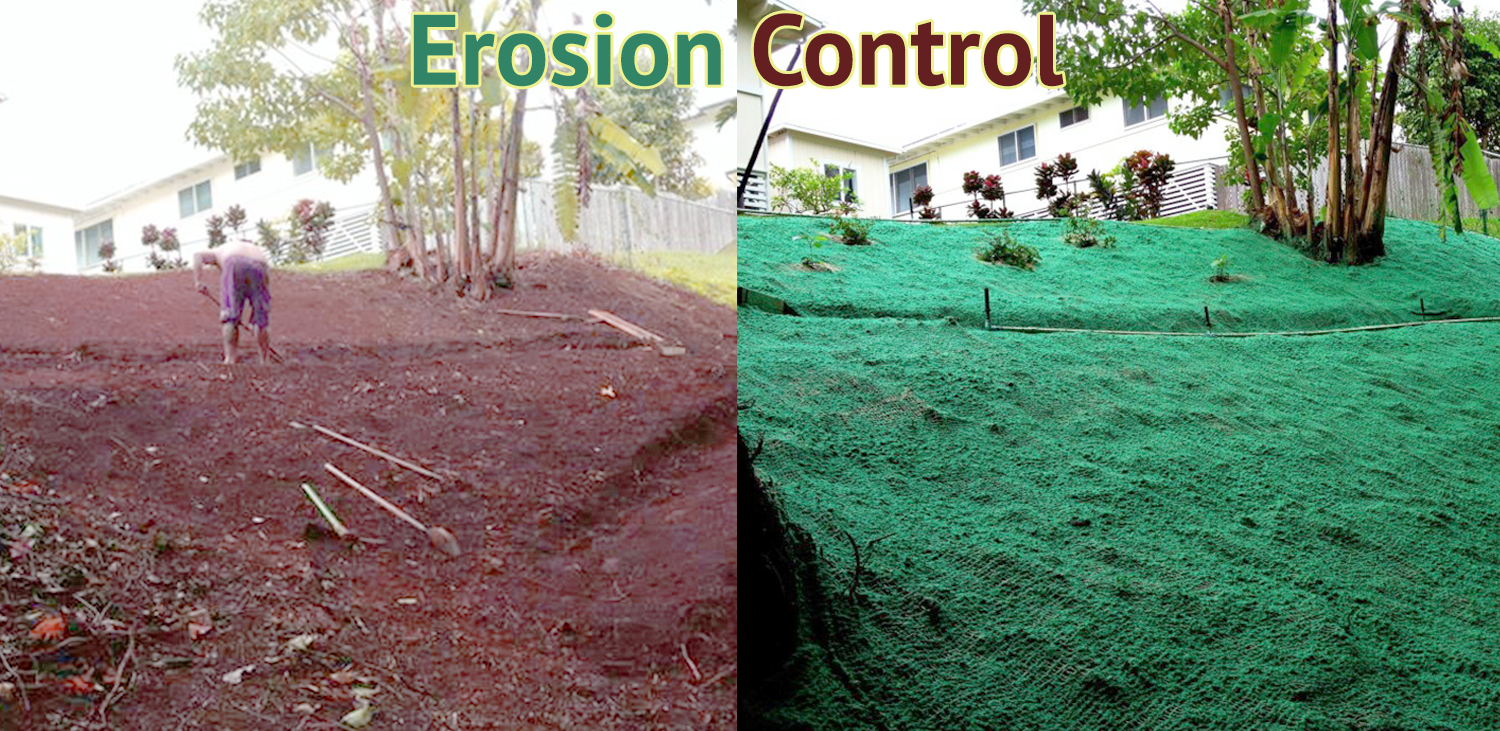 Native Hawaiian Plant Nursery Oahu HI Habitat Restorations