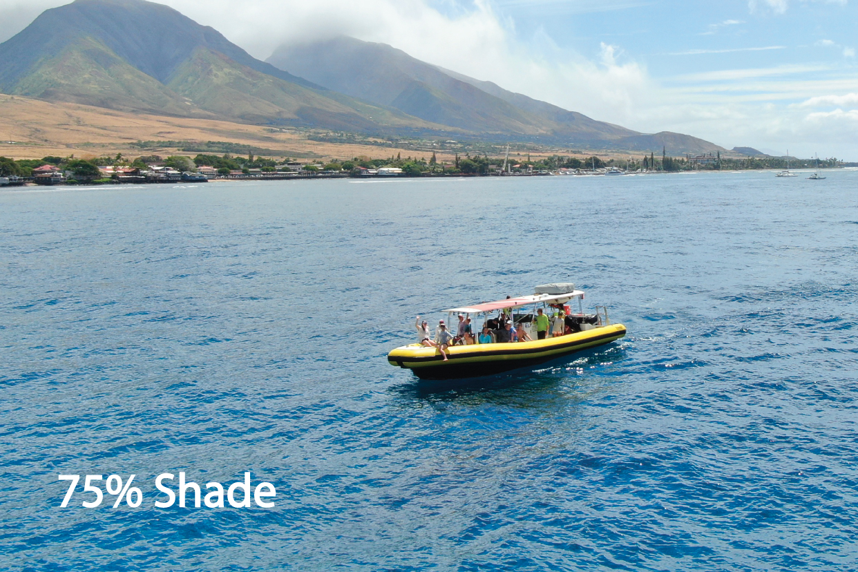 Maui Whale Watching EcoRafting Tours — Hawaii Ocean Rafting
