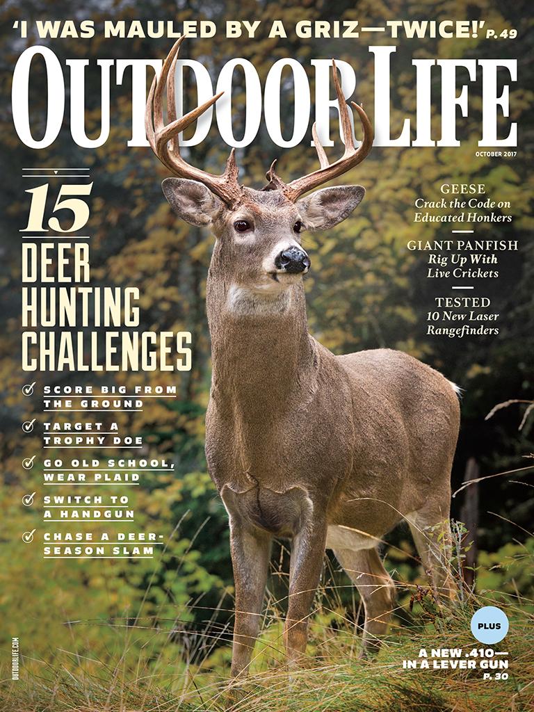 Hawaii Safaris Deer Hunting on Big Island, Maui, Kauai