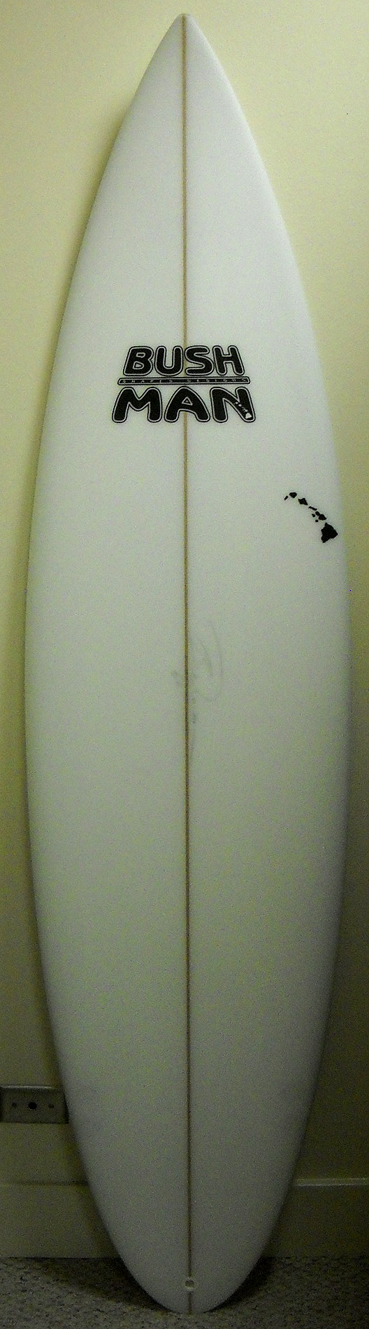 Bushman Surfboard 6’4″ The Hawaii Surf Factory « Hawaii Surf Factory