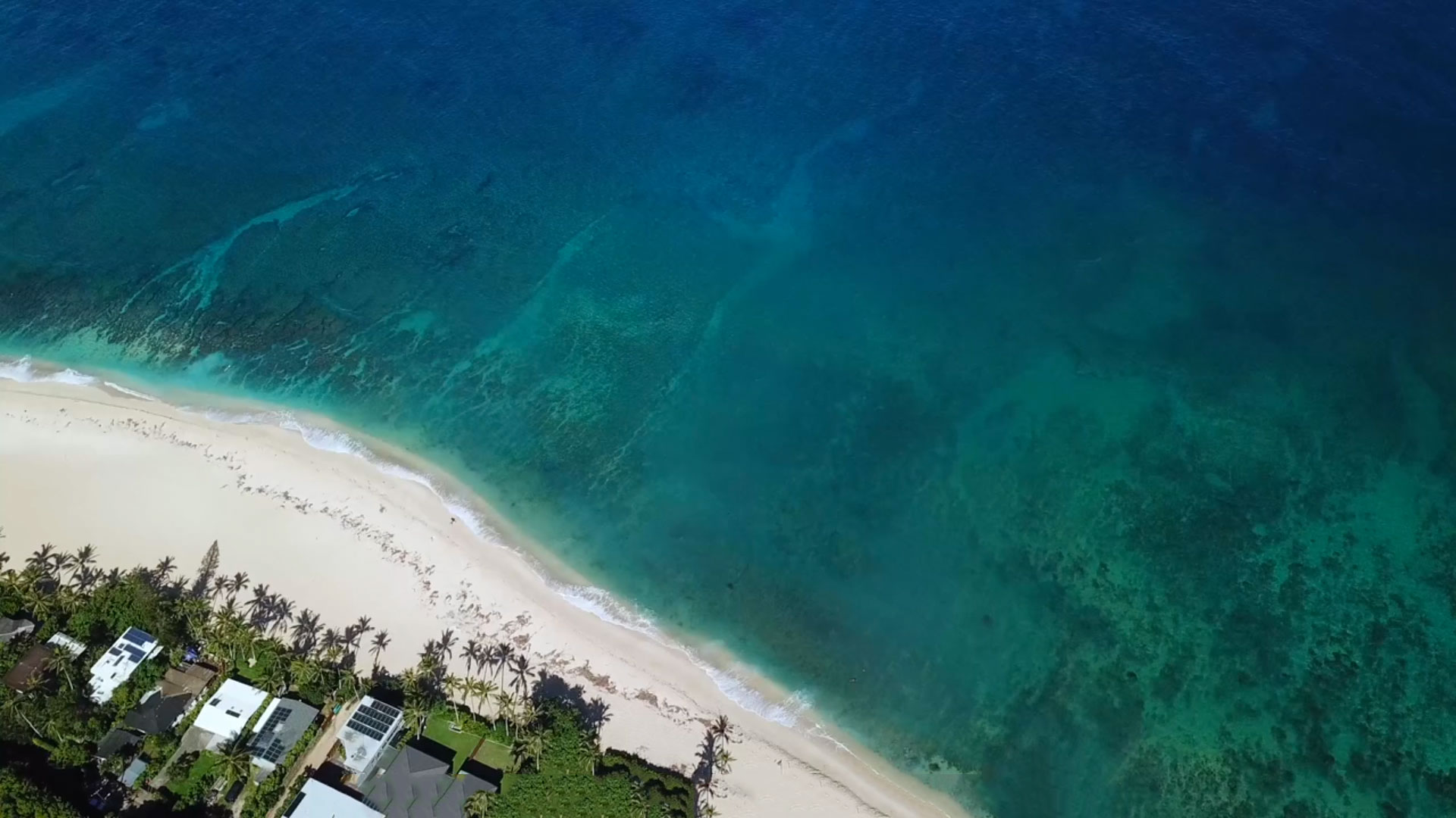 Video Production in Hawaii Emotionally Compelling Videos Hawaii