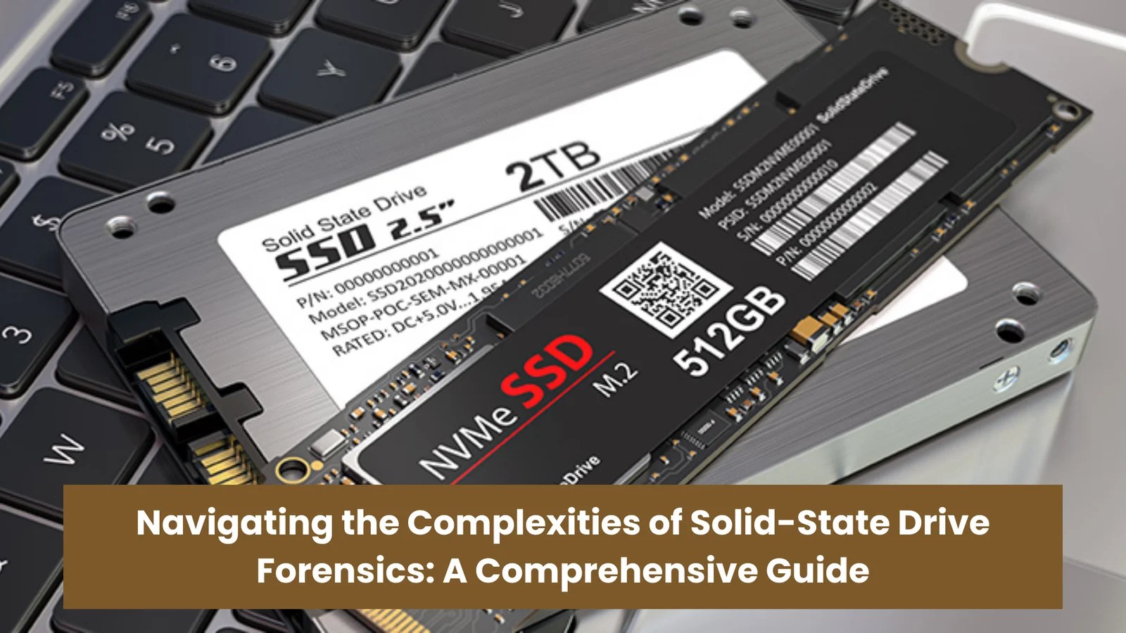 Navigating The Complexities Of Life A Comprehensive Guide To The BSL