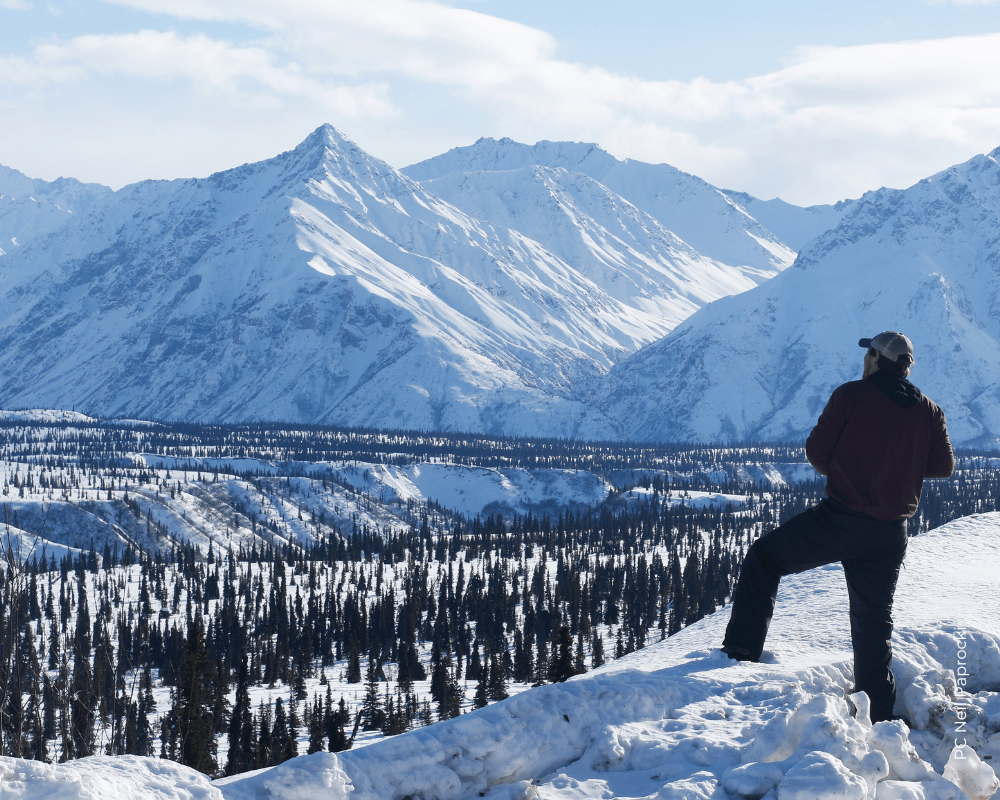 Gunsight Mountain HawkWatch HawkWatch International