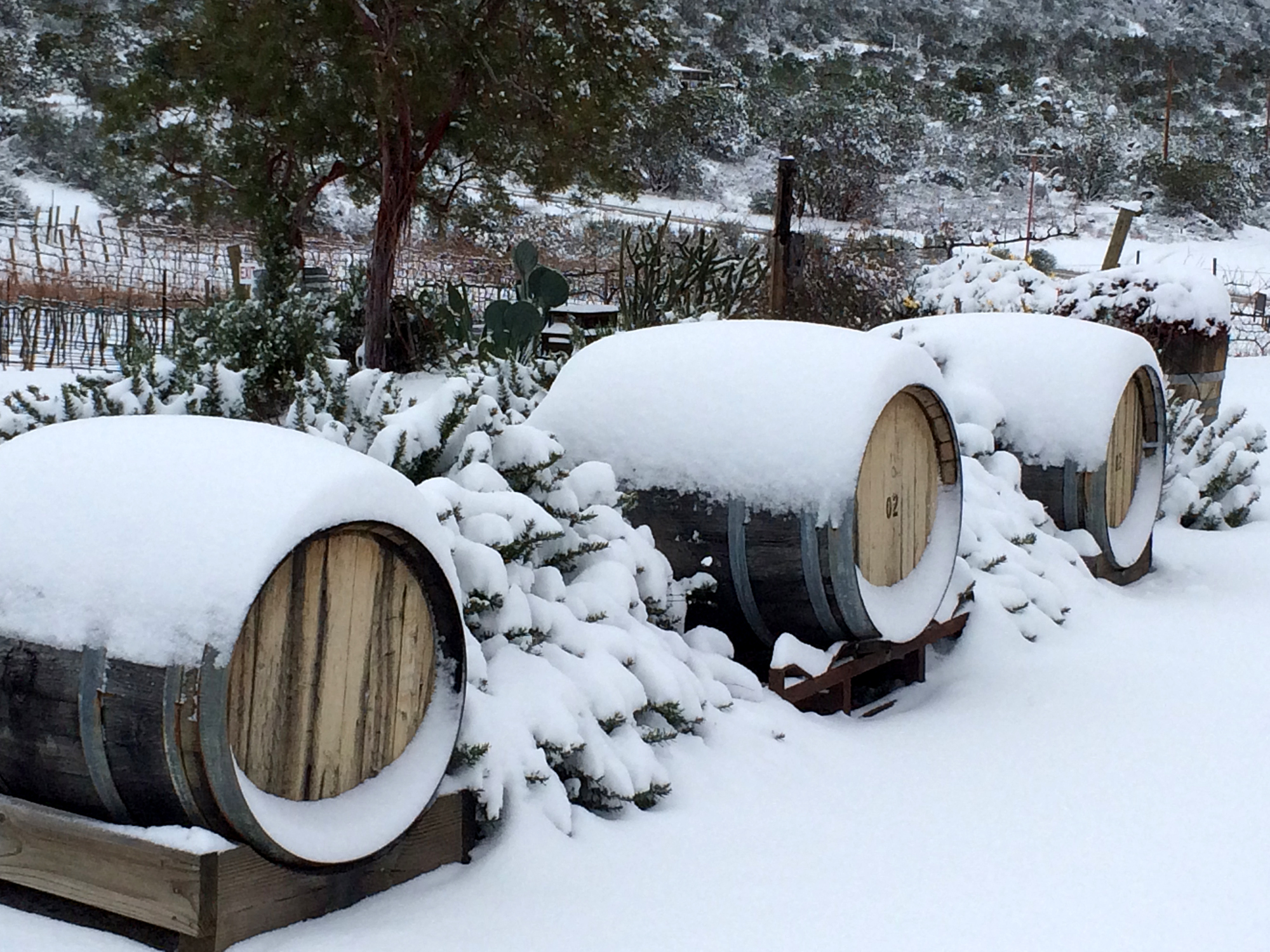 Hawk Watch Winery to Hawk Watch Winery!