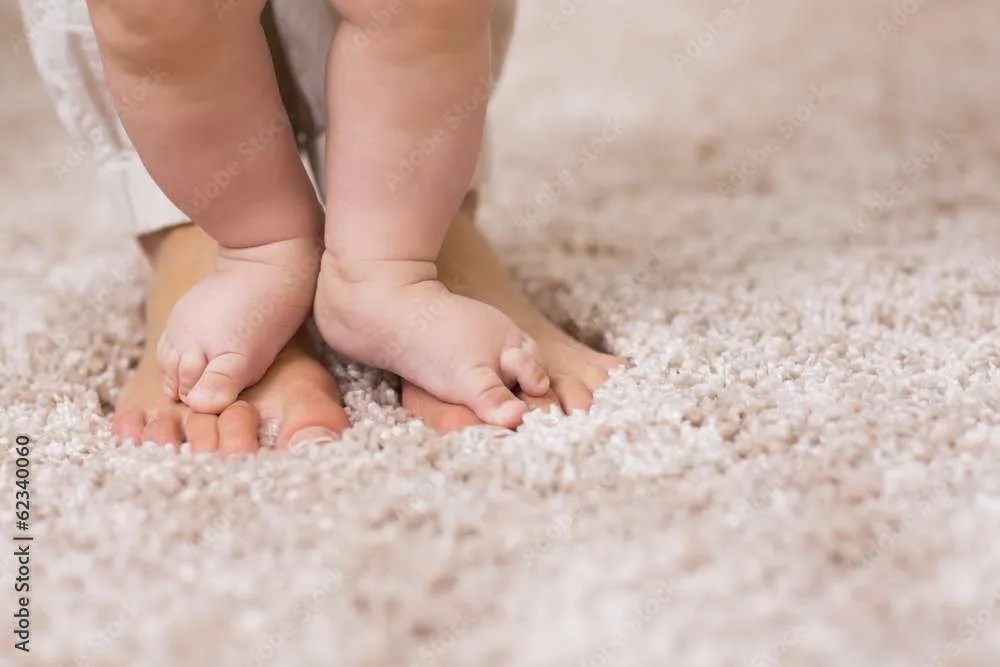 Calgary carpets Top Rated Carpet Store Calgary Browse Online