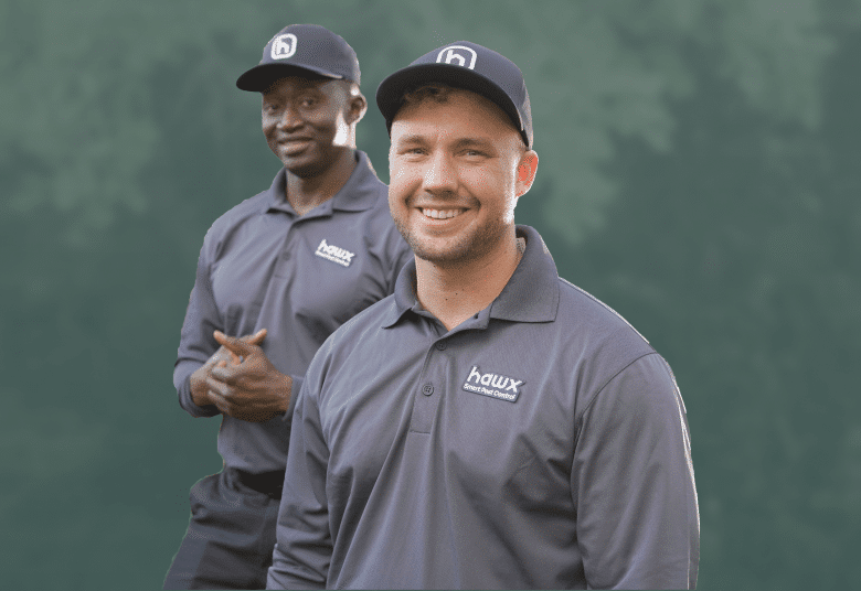Careers Hawx Pest Control
