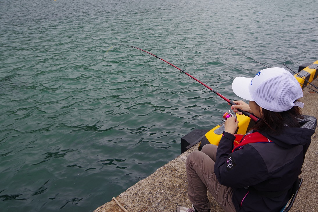 秋の堤防五目釣りを満喫！【福井県敦賀】 ハヤブサLady 隼華HAYAKA