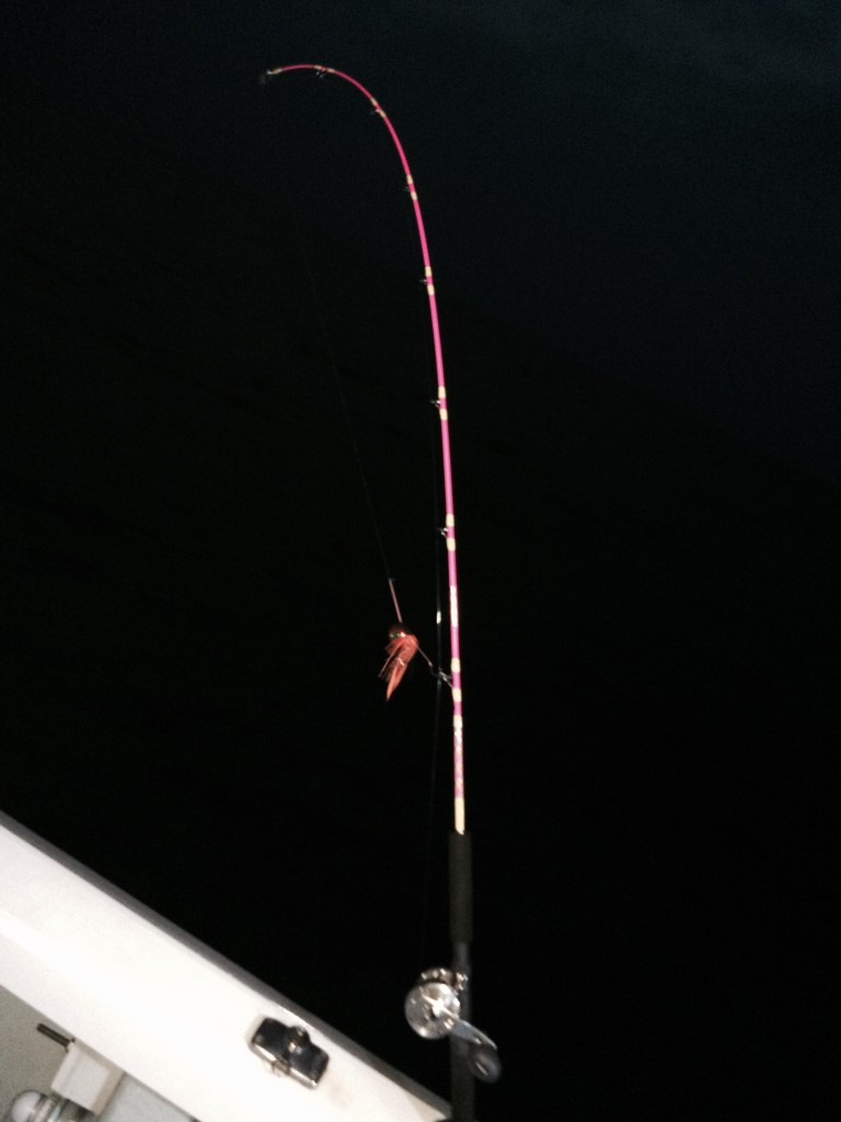 ☆ 秋田県で釣り ☆ ハヤブサLady 隼華HAYAKA
