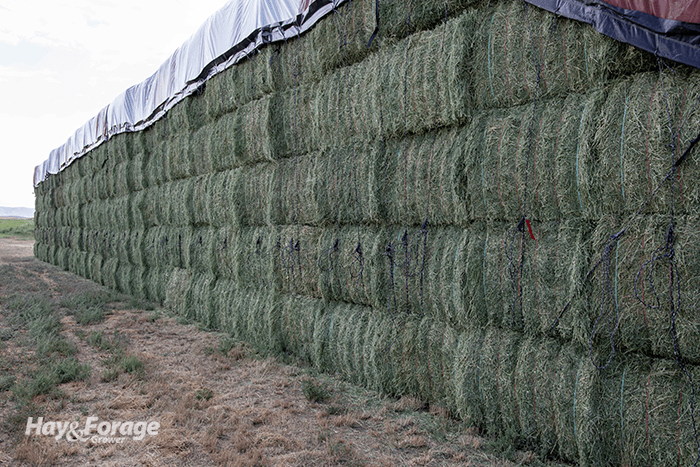 Hay and Forage Grower Magazine Search - Alisa Amore