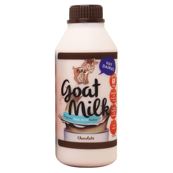 Chocolate Goat Milk 800ml Hay Dairies