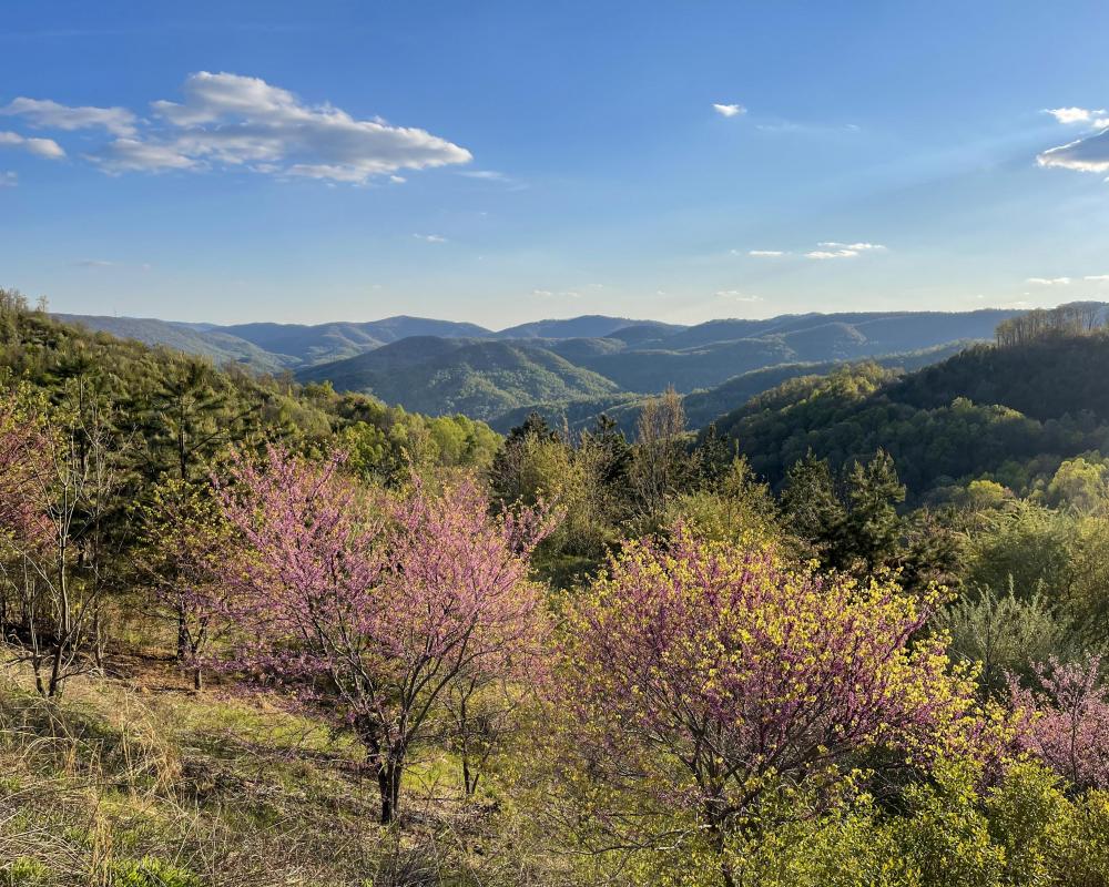 Tennessee Land For Sale Hayden Outdoors