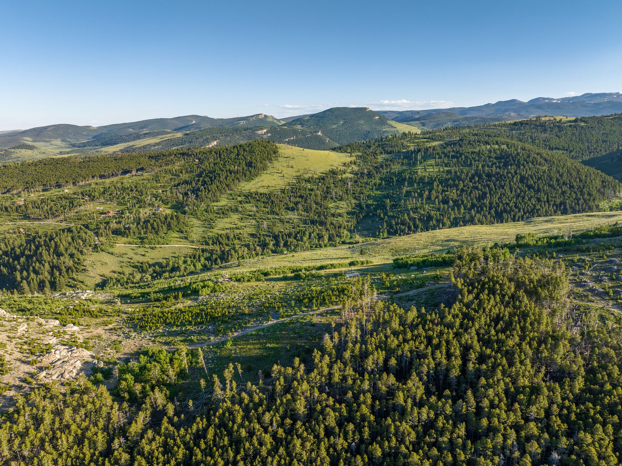 Homestead Park Direct Forest Service Access, Lander Hayden Outdoors