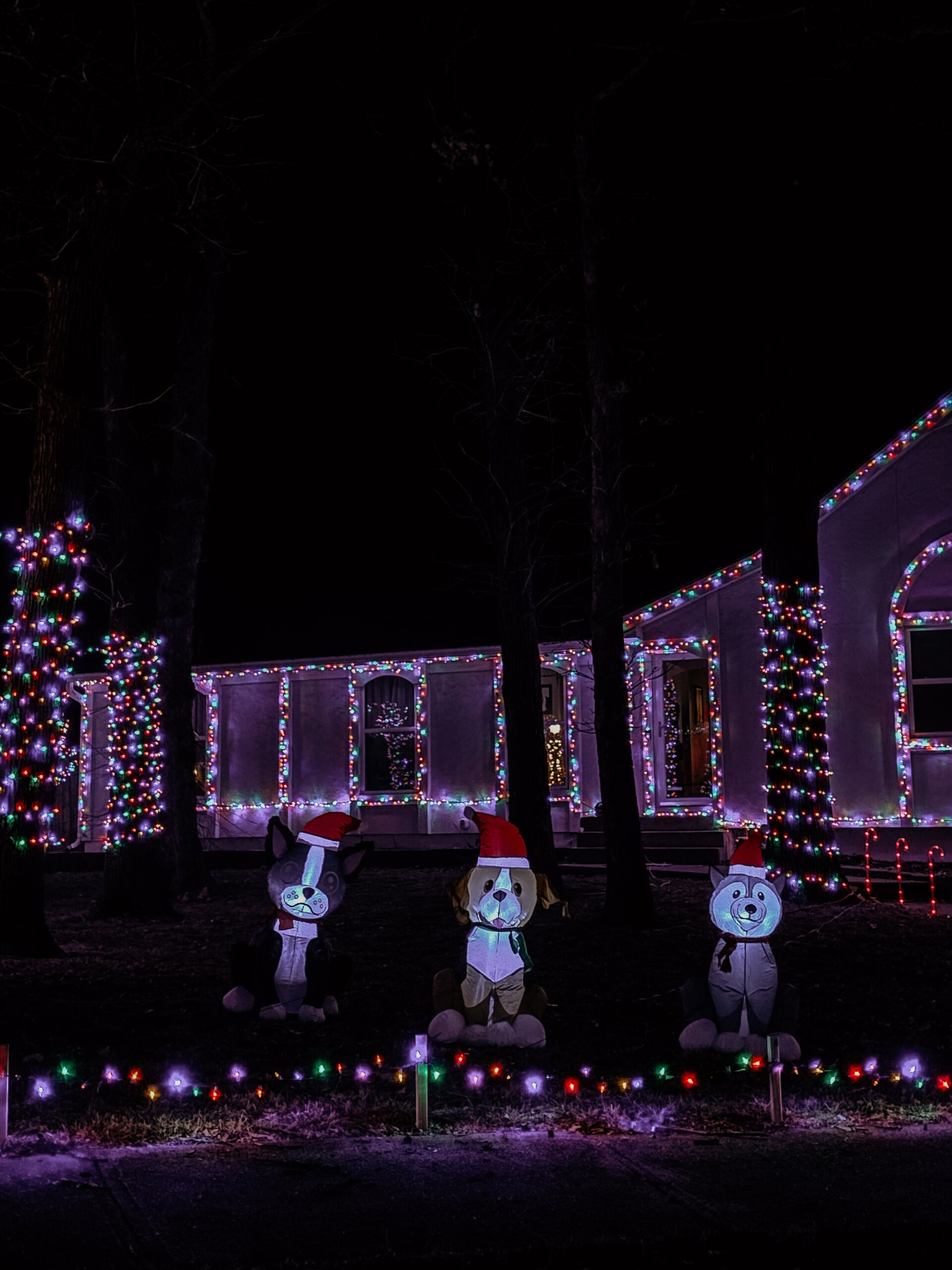 Kansas City Holiday Light Guide Tour Hayden Ward