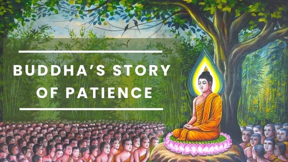 Buddha's Story On Patience Why Patience is Important in Life