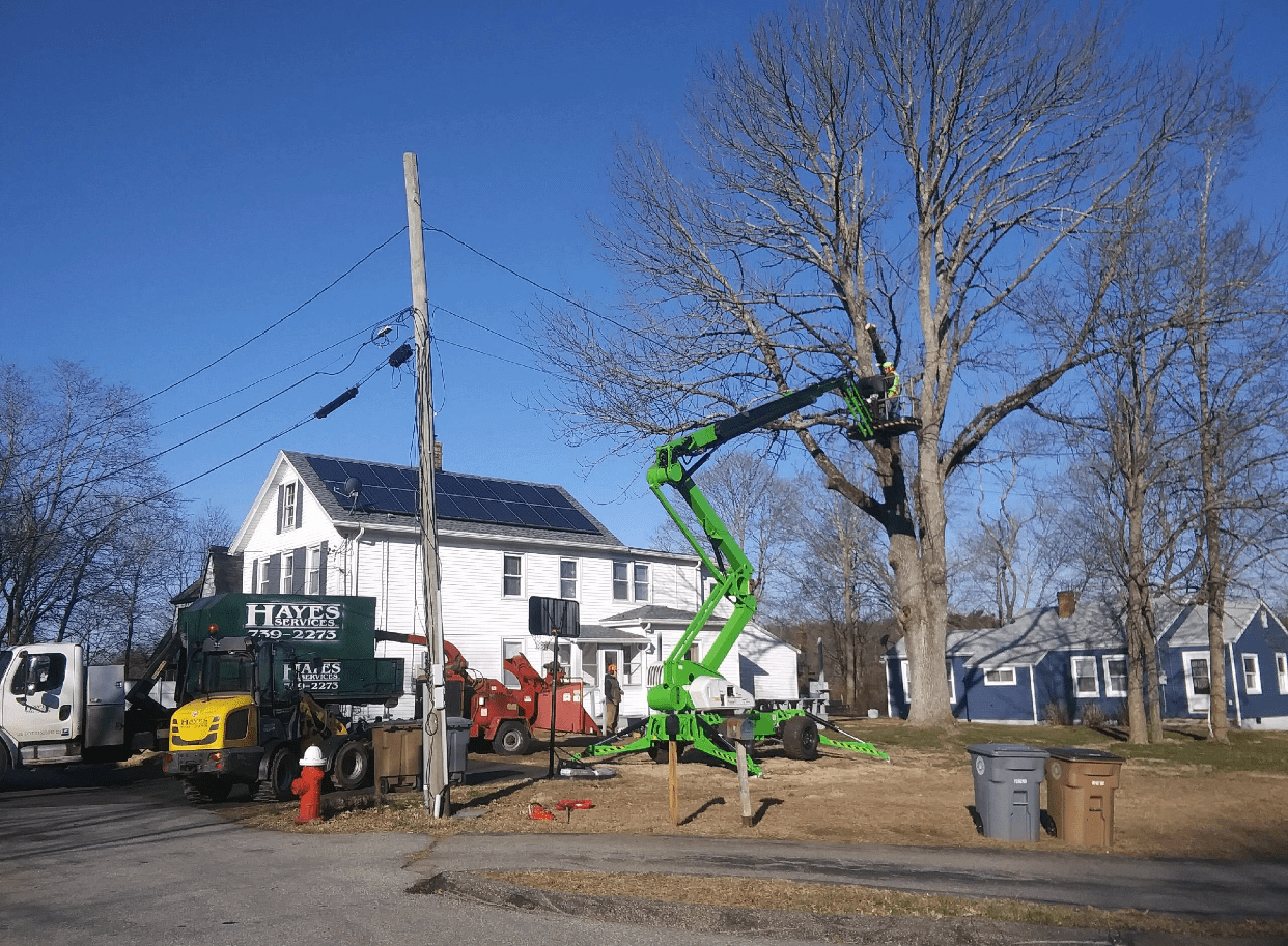 Niantic CT Tree Removal Dumpster Rental CT, Dumpster Rental Services