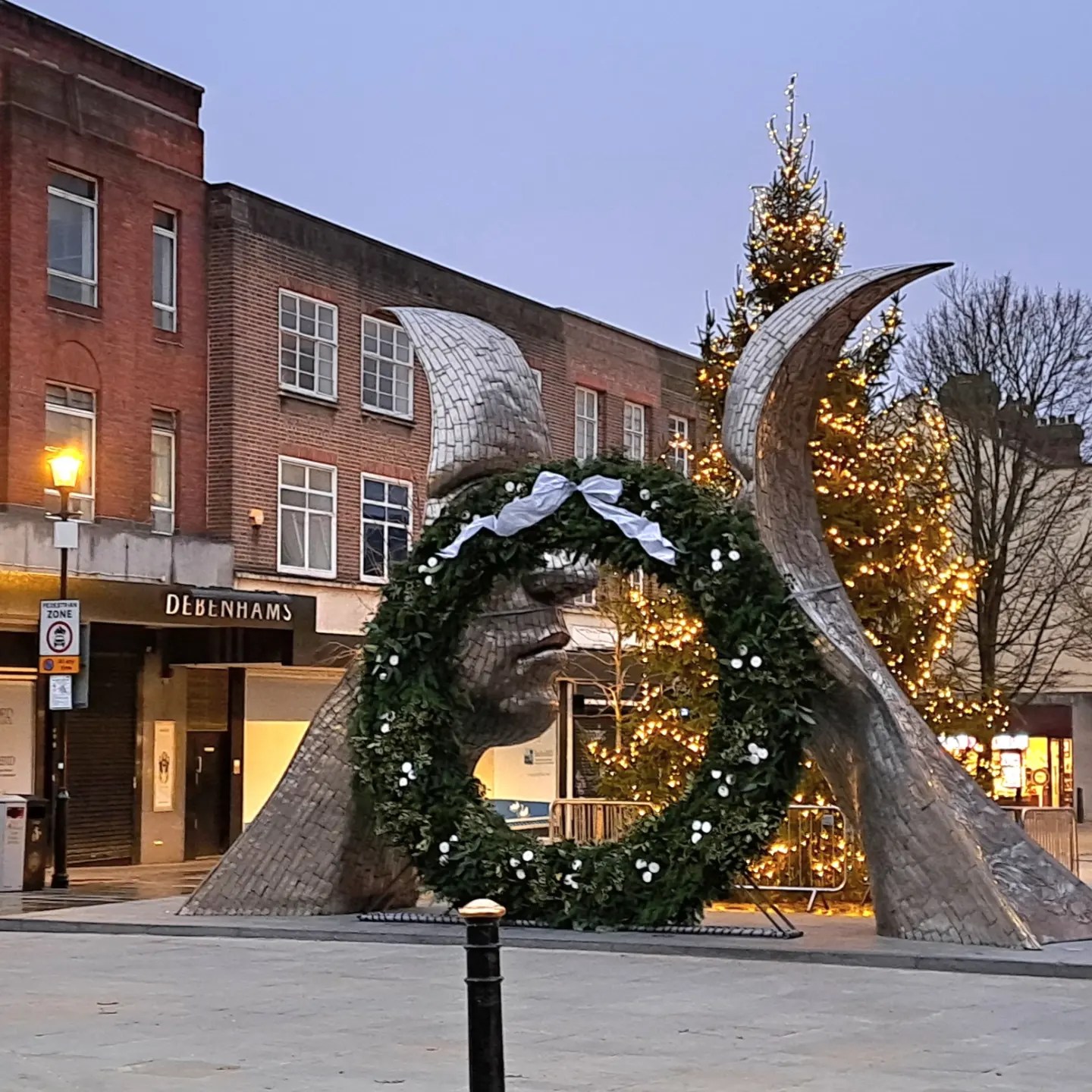 December 2022 Hay Lane Flower Farm