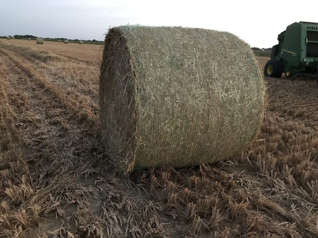 Hay For Sale In Texas HayMap