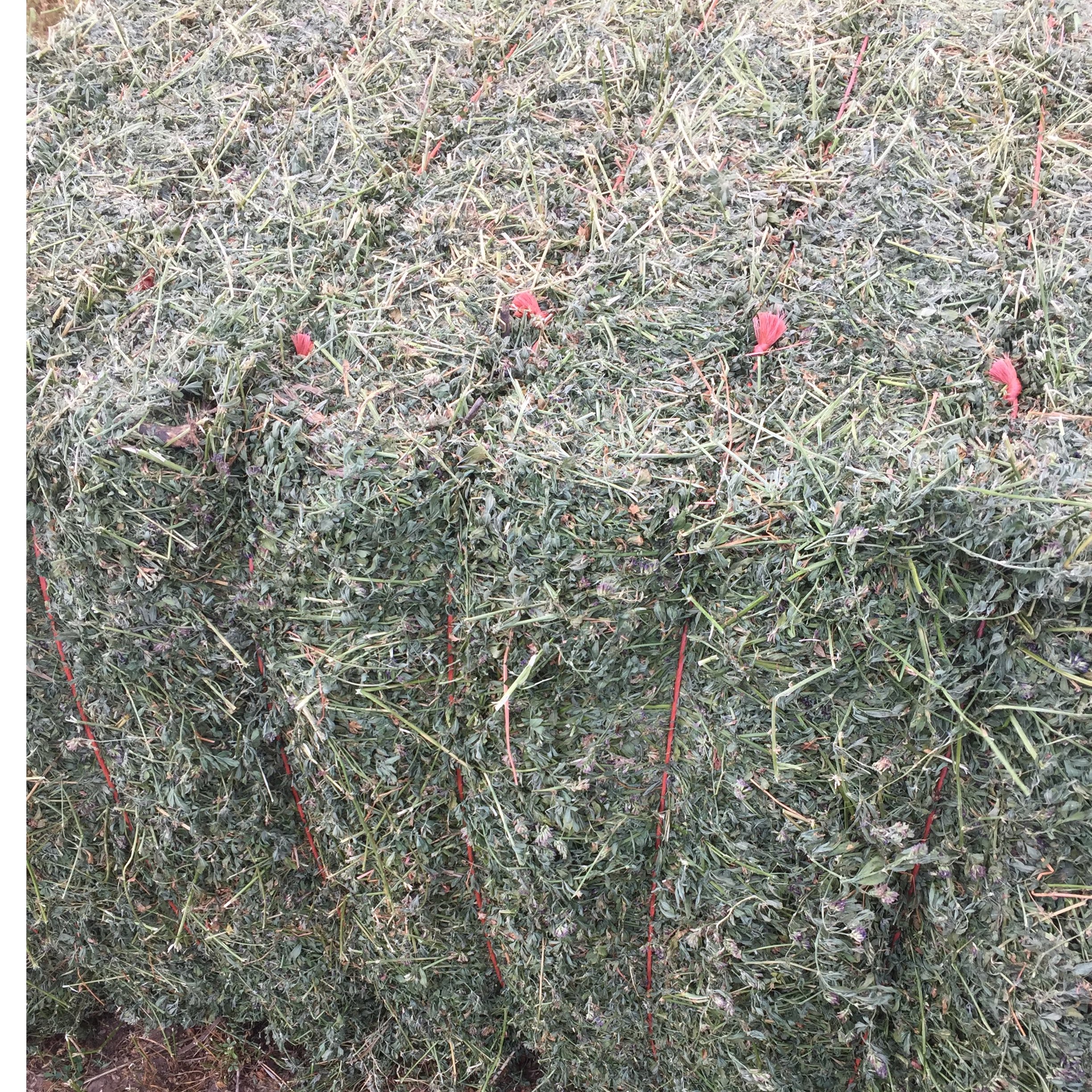 Hay For Sell Hay Map