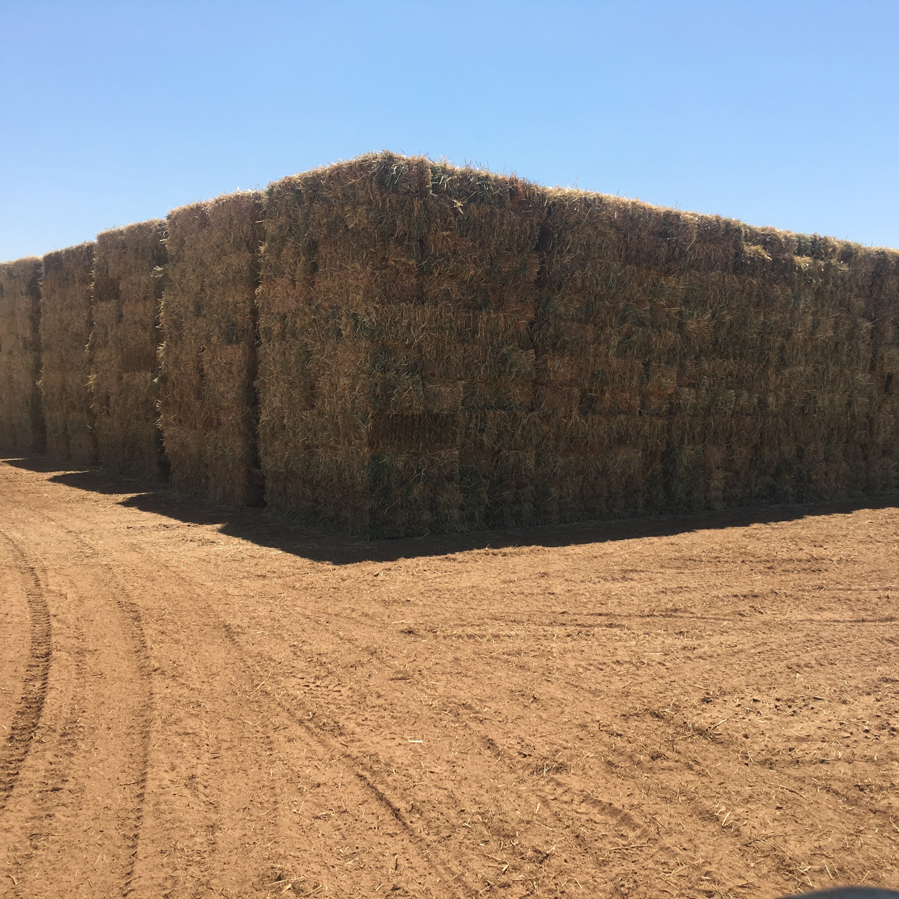 Hay For Sale In California Hay Map