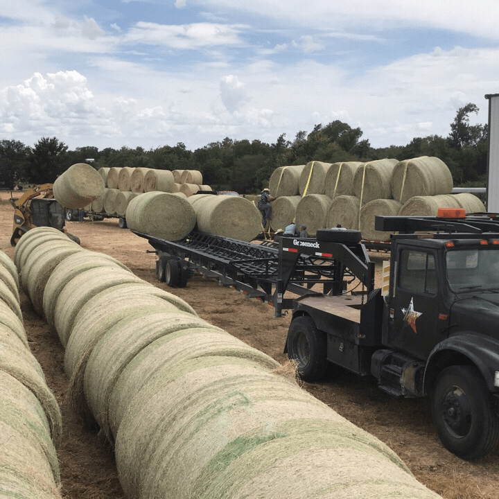 Hay For Sale Hay Map