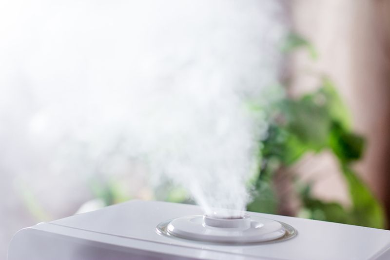 How A WholeHouse Humidifier Keeps You Healthy Rockmart