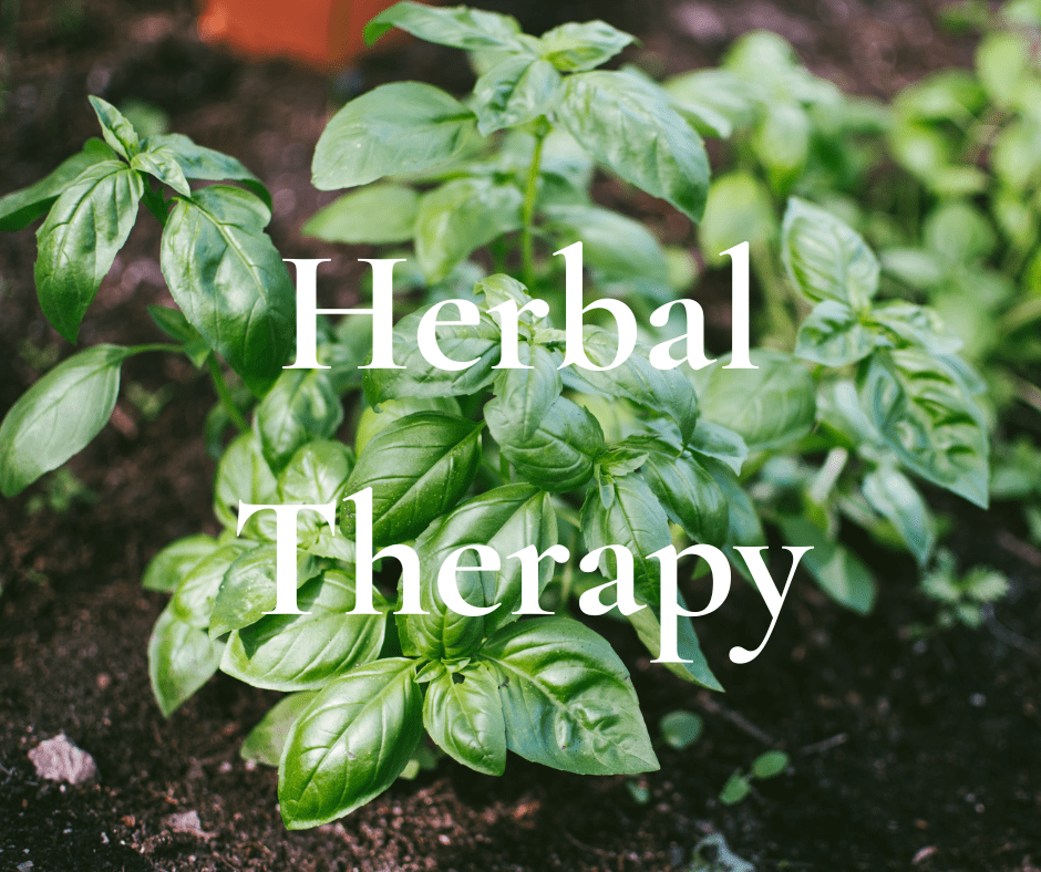 Home Hazelnut Naturopathic Health Hazelnut Integrative LLC