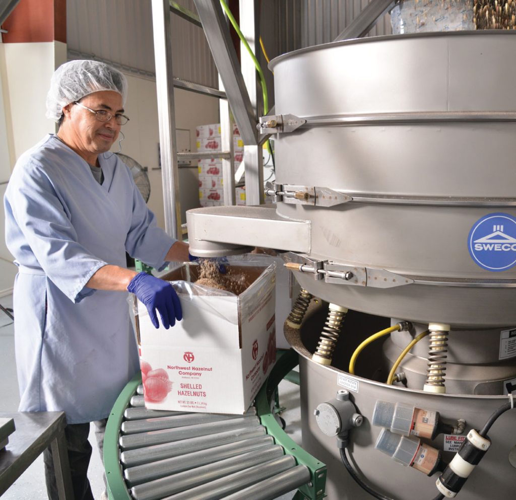 Buy Hazelnuts Northwest Hazelnut Company