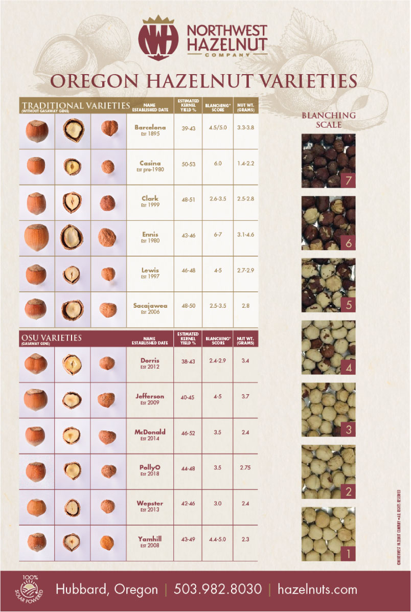 Buy Hazelnuts Northwest Hazelnut Company