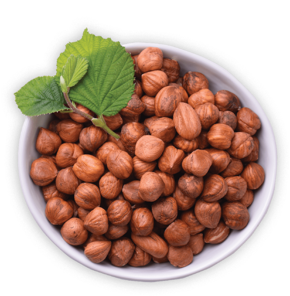 Hazelnut Products Northwest Hazelnut Company