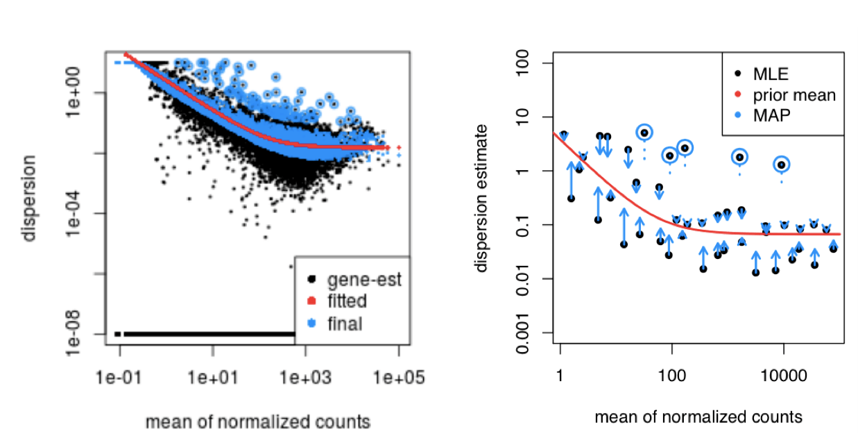 Genelevel differential expression analysis with DESeq2 Introduction