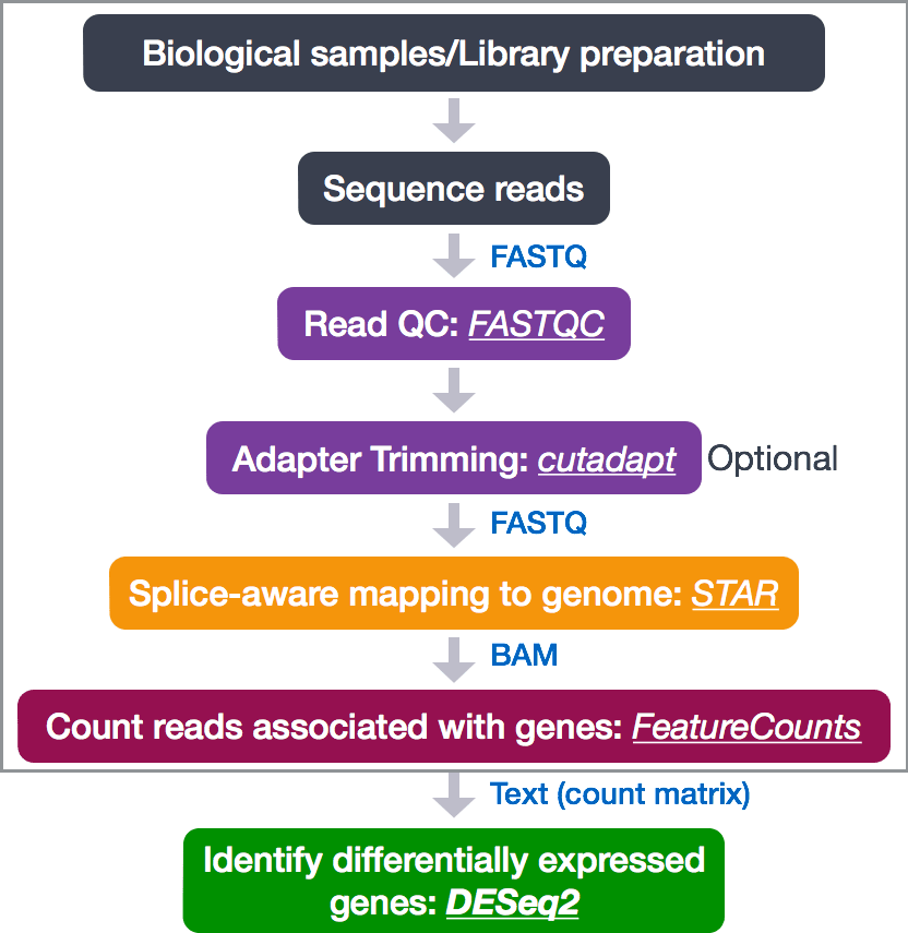 Differential gene expression (DGE) analysis GCCBOSC2018