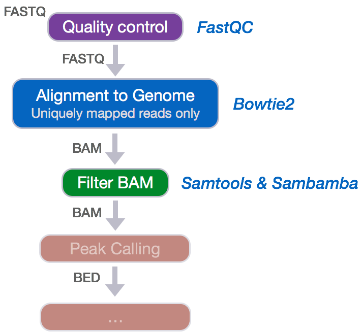Alignment and filtering Introduction to ChIPSeq using high