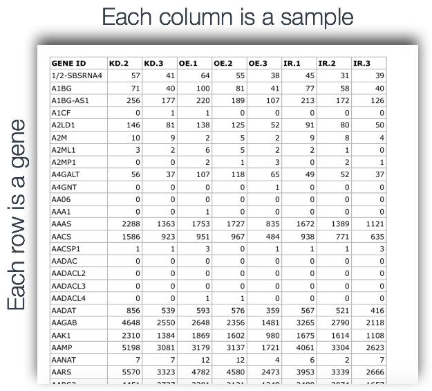 Counting reads Introduction to RNASeq using highperformance